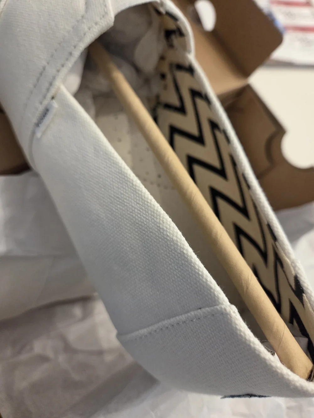 Brand New TOMS Alpargata Classic in White